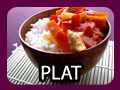 logo_plat