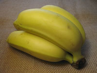 mini_bananes_vogel