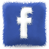 Facebook de Cookismo