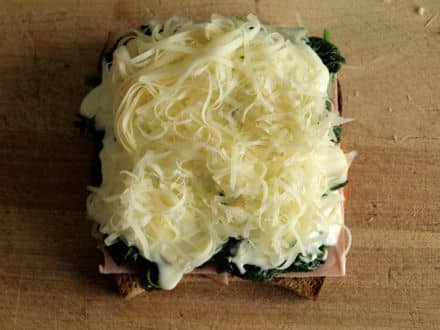 Tartine fromage râpé