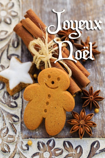 Christmas Spices, Gingerbread man - Christmas cookies @ Gorilla - Fotolia