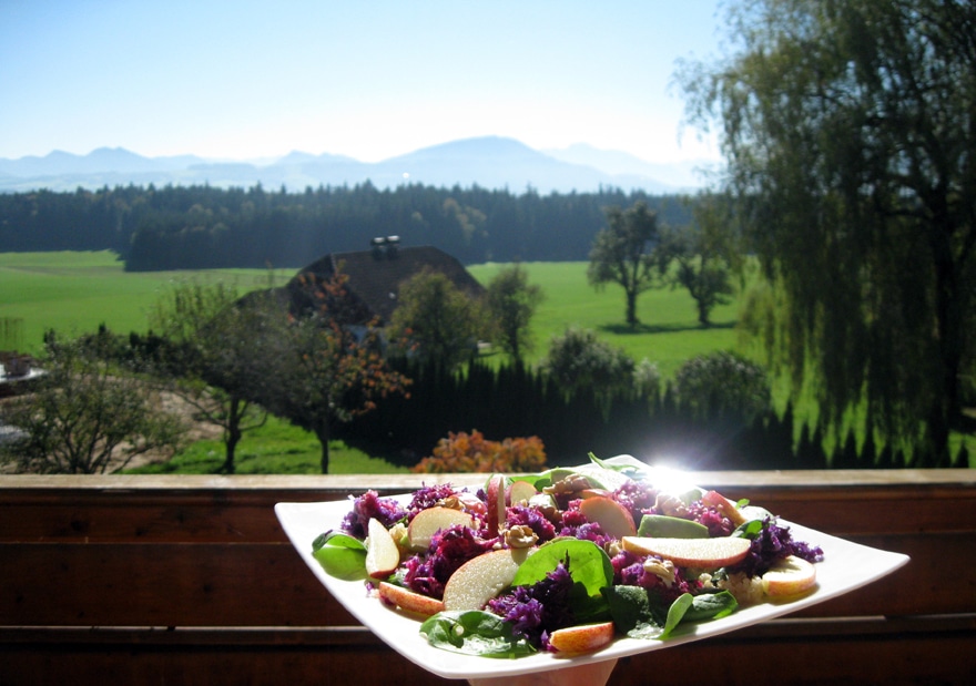 Dégustation de ma salade de chou rouge en terrasse #Autriche
