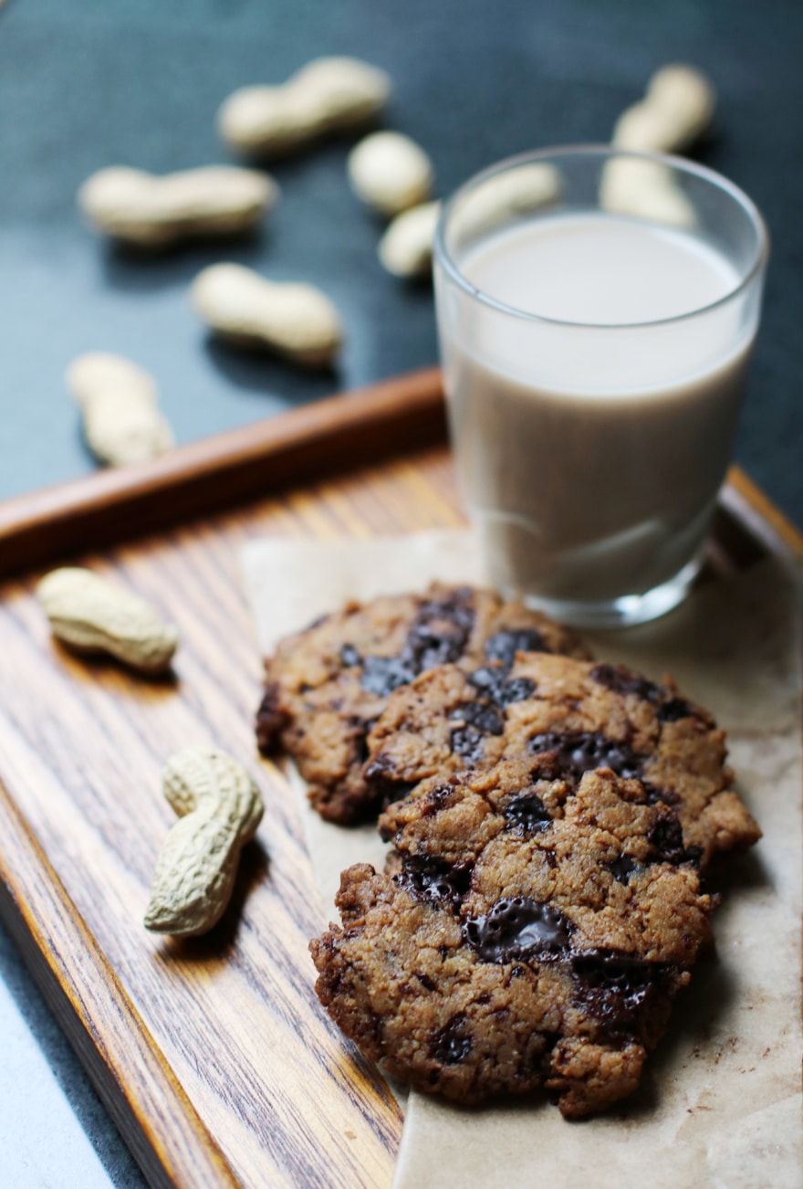 Cookies sans gluten/lactose (cacahuète, coco, chocolat)