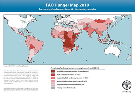 carte de la faim dans le monde_2010_440