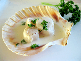 Coquille St-Jacques au champagne