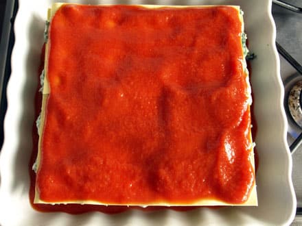 Montage lasagnes - coulis de tomates