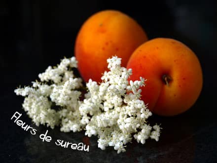 Abricots et fleurs de sureau