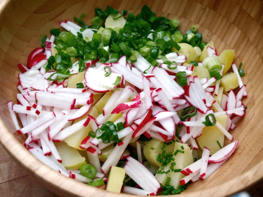 Ingrédients de la salade de pomme de terre, sans la sauce au fromage blanc