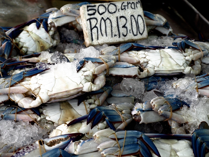 Crabes bleus du marché de Chow Kit